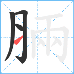 脼笔顺分解图片4