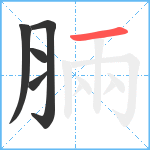 脼笔顺分解图片5