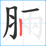 脼笔顺分解图片6