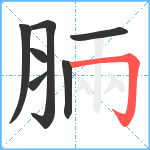 脼笔顺分解图片7