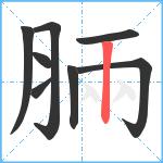 脼笔顺分解图片8