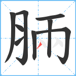 脼笔顺分解图片9