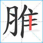 脽笔顺分解图片11