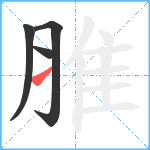 脽笔顺分解图片4