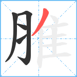 脽笔顺分解图片5