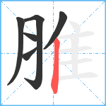 脽笔顺分解图片6