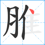 脽笔顺分解图片7