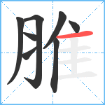 脽笔顺分解图片8