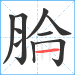 腀笔顺分解图片10