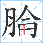 腀笔顺分解图片11