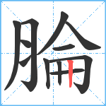 腀笔顺分解图片12