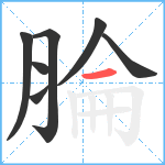 腀笔顺分解图片7