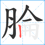 腀笔顺分解图片8