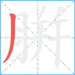 腁笔顺分解图片1