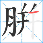 腁笔顺分解图片10