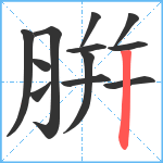 腁笔顺分解图片12