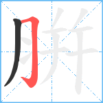 腁笔顺分解图片2