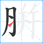 腁笔顺分解图片4