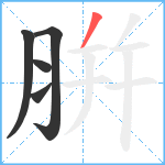 腁笔顺分解图片5