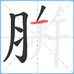 腁笔顺分解图片6