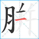 腁笔顺分解图片7