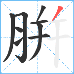 腁笔顺分解图片9