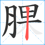 腂笔顺分解图片10