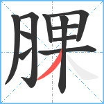 腂笔顺分解图片11