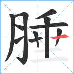 腄笔顺分解图片11