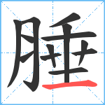 腄笔顺分解图片13