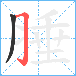 腄笔顺分解图片2