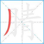 腈笔顺分解图片1