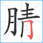 腈笔顺分解图片10