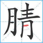 腈笔顺分解图片11