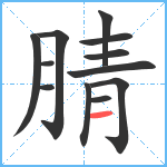 腈笔顺分解图片12