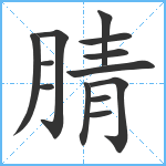 腈笔顺分解图片13