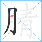 腈笔顺分解图片3