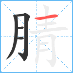 腈笔顺分解图片5