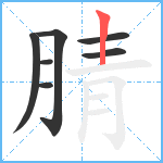 腈笔顺分解图片7