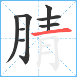 腈笔顺分解图片8