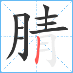 腈笔顺分解图片9