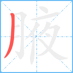 腋笔顺分解图片1