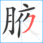 腋笔顺分解图片10