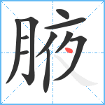 腋笔顺分解图片11