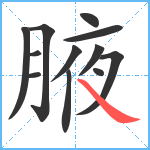 腋笔顺分解图片12