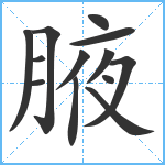 腋笔顺分解图片13