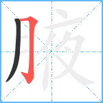 腋笔顺分解图片2