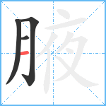 腋笔顺分解图片4