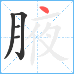 腋笔顺分解图片5