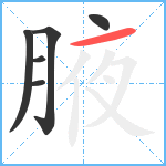 腋笔顺分解图片6